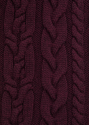 Braided Plum Scarf